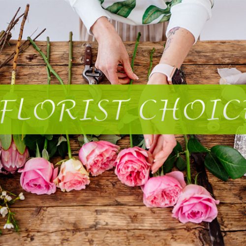 florist choice flowers