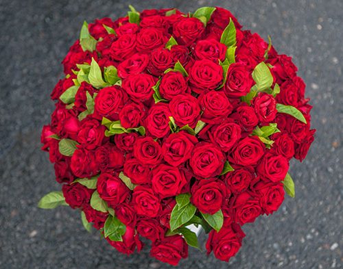 100 Valentine Roses