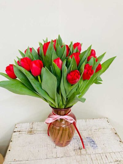 tulip lover