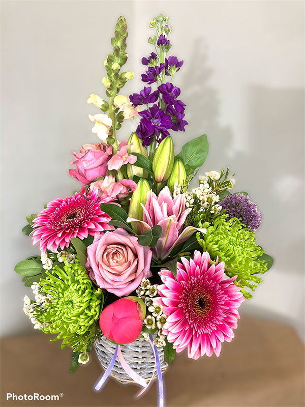 summer glo flowers