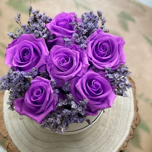 preserved roses purple lavender