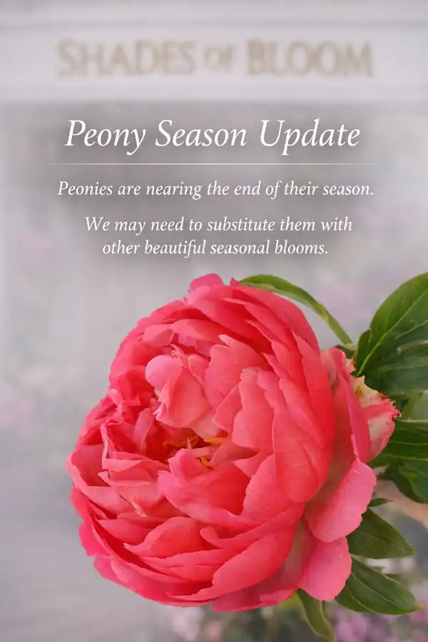 Peony Season Closed