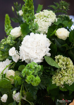 Church Hydrangeas