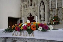 Colourful Gerbera Altar