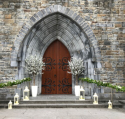 Large White Bloosom Trees for Church Entrance