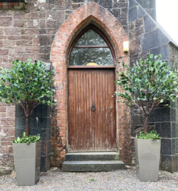 church trees entrance